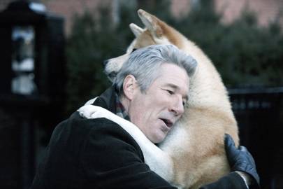 Hachi: A Dogâs Tale, 2009