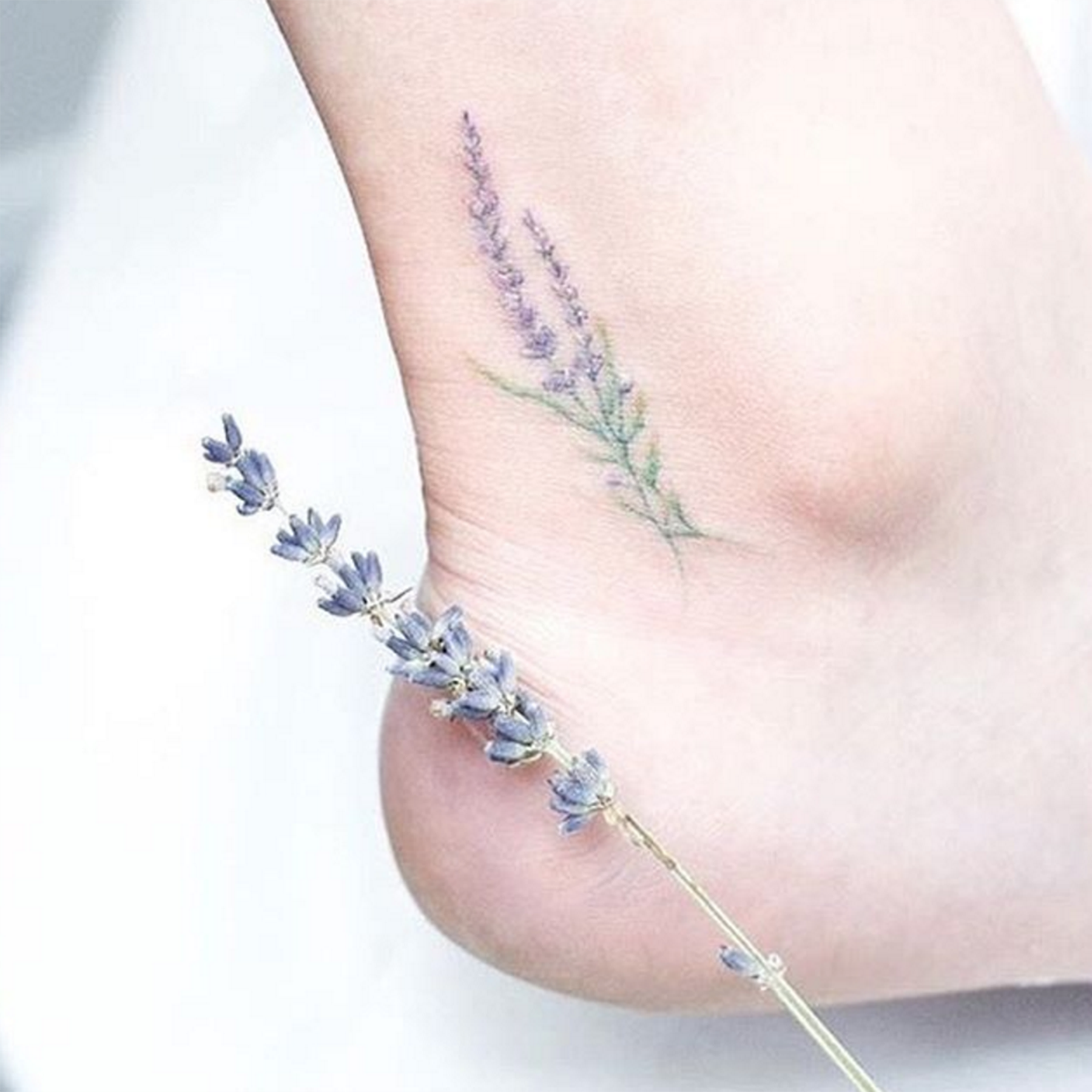 90 Free Download Simple Tattoo Lavender HD Tattoo Images