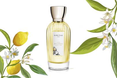 best citrus perfumes for her