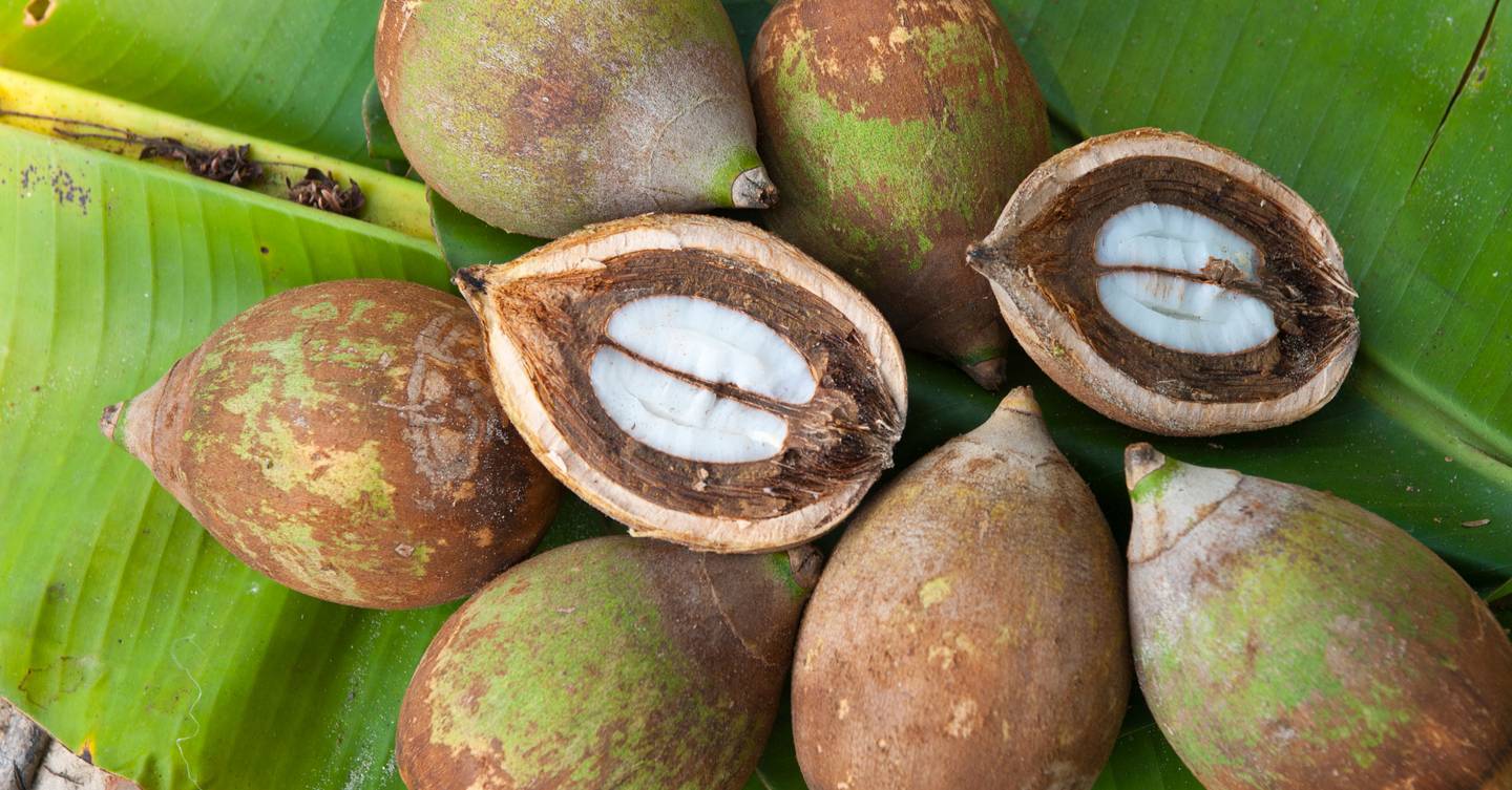 What Is Babassu Oil And What Are The Skin And Health Benefits? Glamour UK