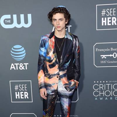 Timothée Chalamet's Best Outfits That Made Him Fashion's Favourite New ...