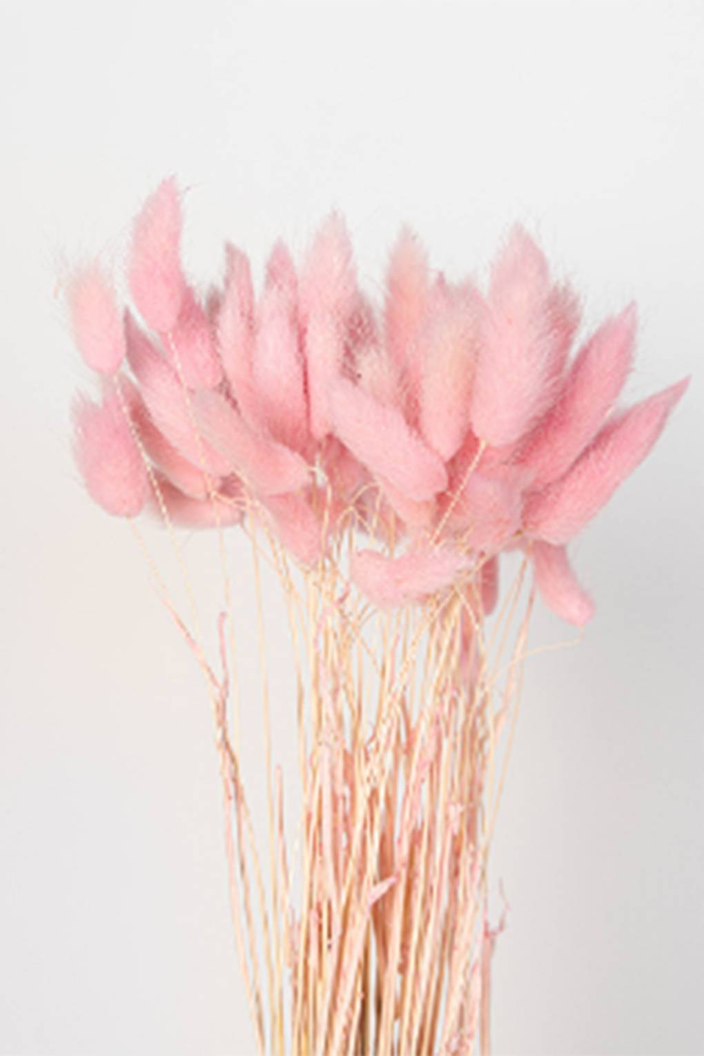 Dried Flowers & 30+ Best Dried Flowers to Shop Glamour UK
