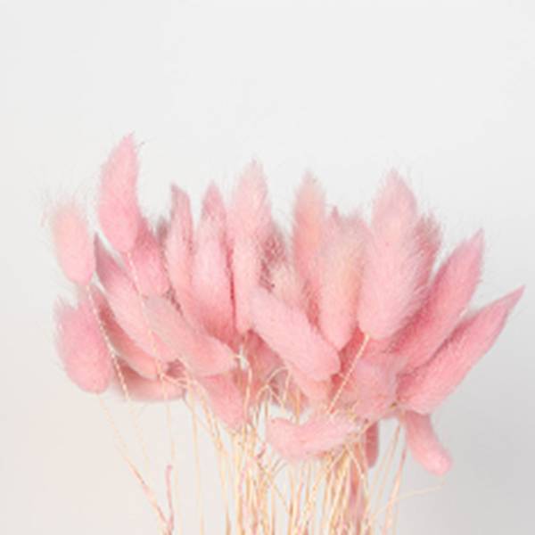 Dried Flowers & 30+ Best Dried Flowers to Shop Glamour UK