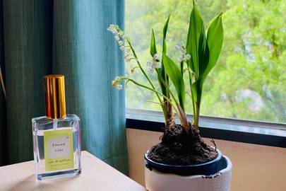 No.82 Ethereal Lilies Eau de Parfum by Floriography Limited
