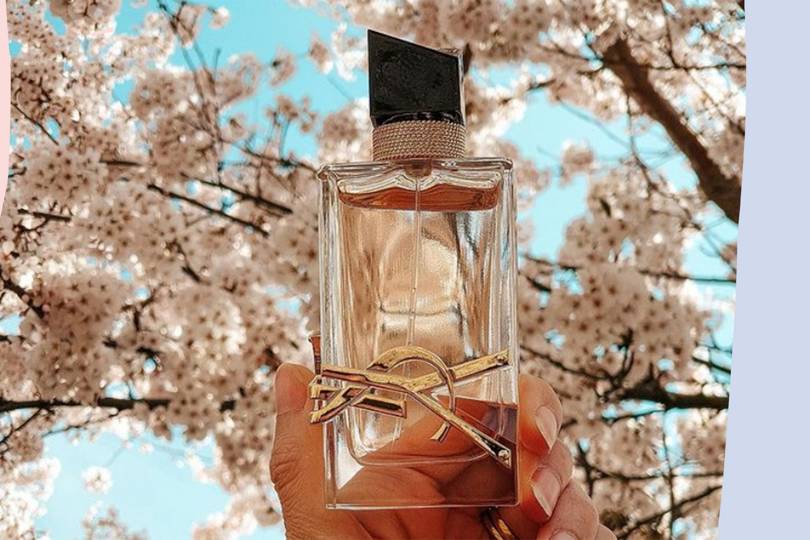 12 VanillaScented Perfumes That We
