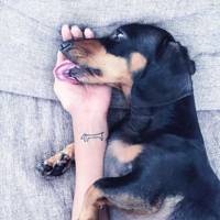 710+ Free Tattoo Inspiration Frauen Instagram Idea Tattoo