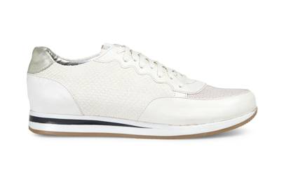 trainers textured rankin rose