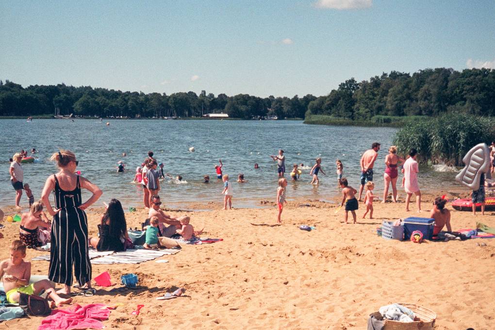 wild swimming club