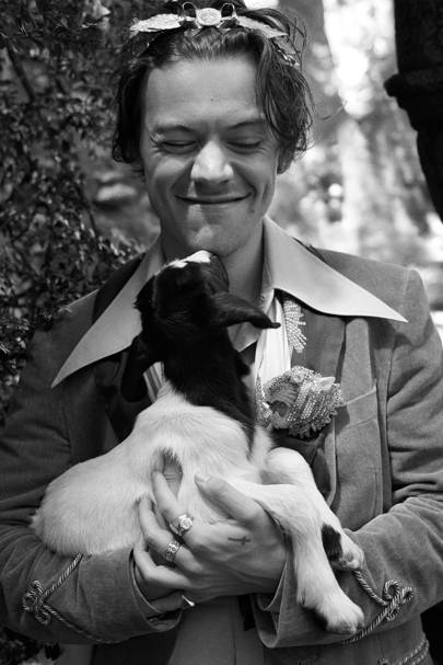 Image result for harry styles black and white