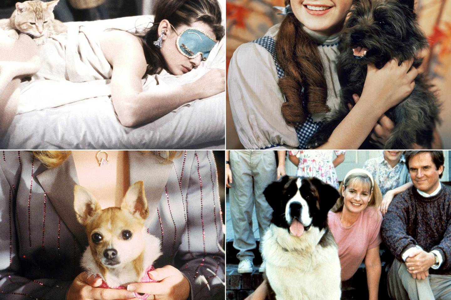 Movie Pets; Famous Dogs & Cats From TV & Film | Glamour UK