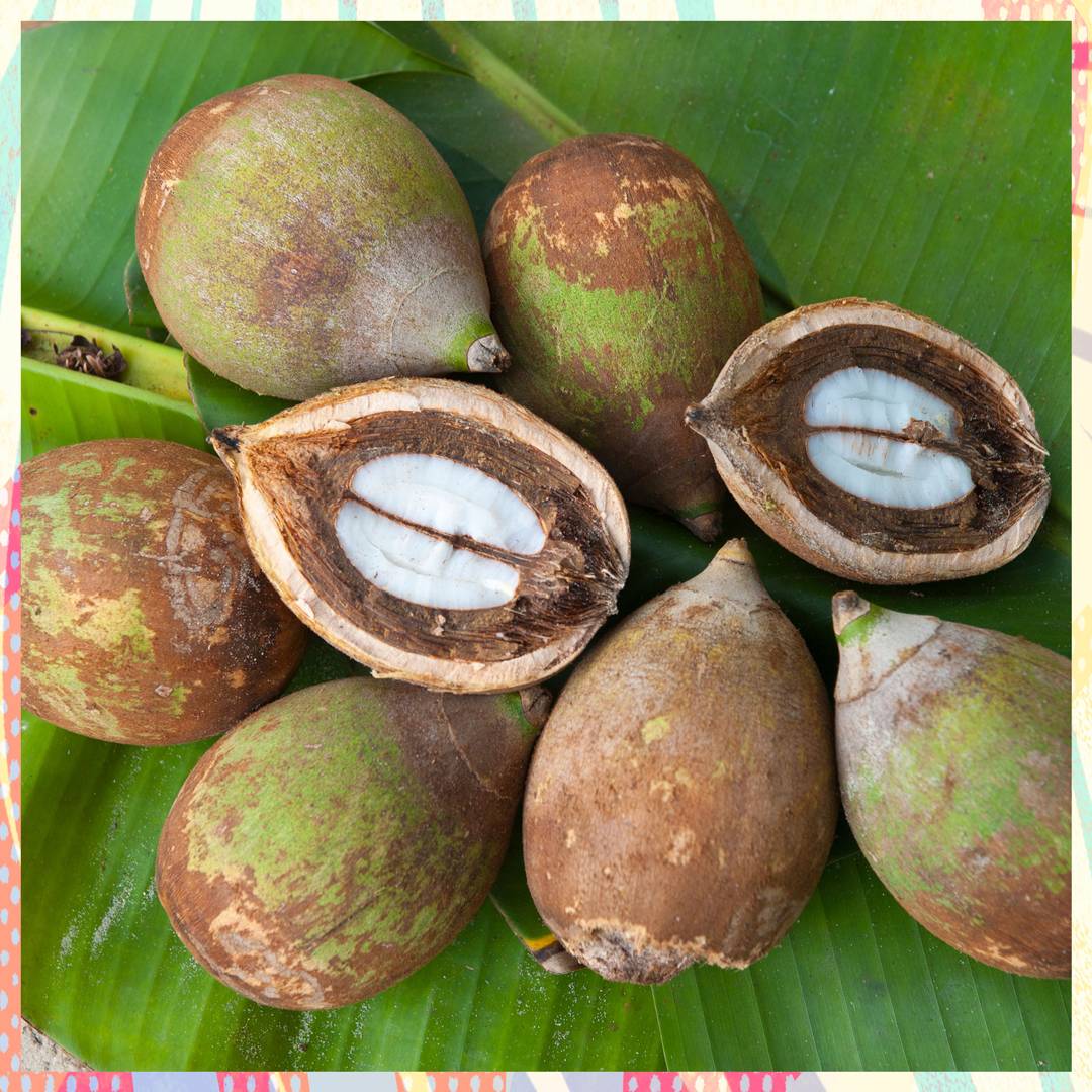 Image: Babassu oil is 2020's answer to coconut oil and here's why