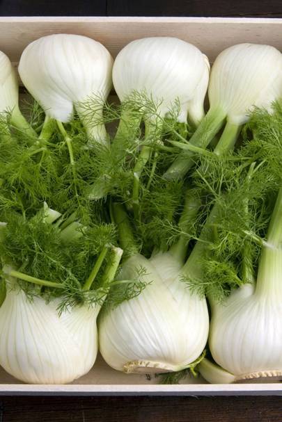 Fenouil contre la cellulite