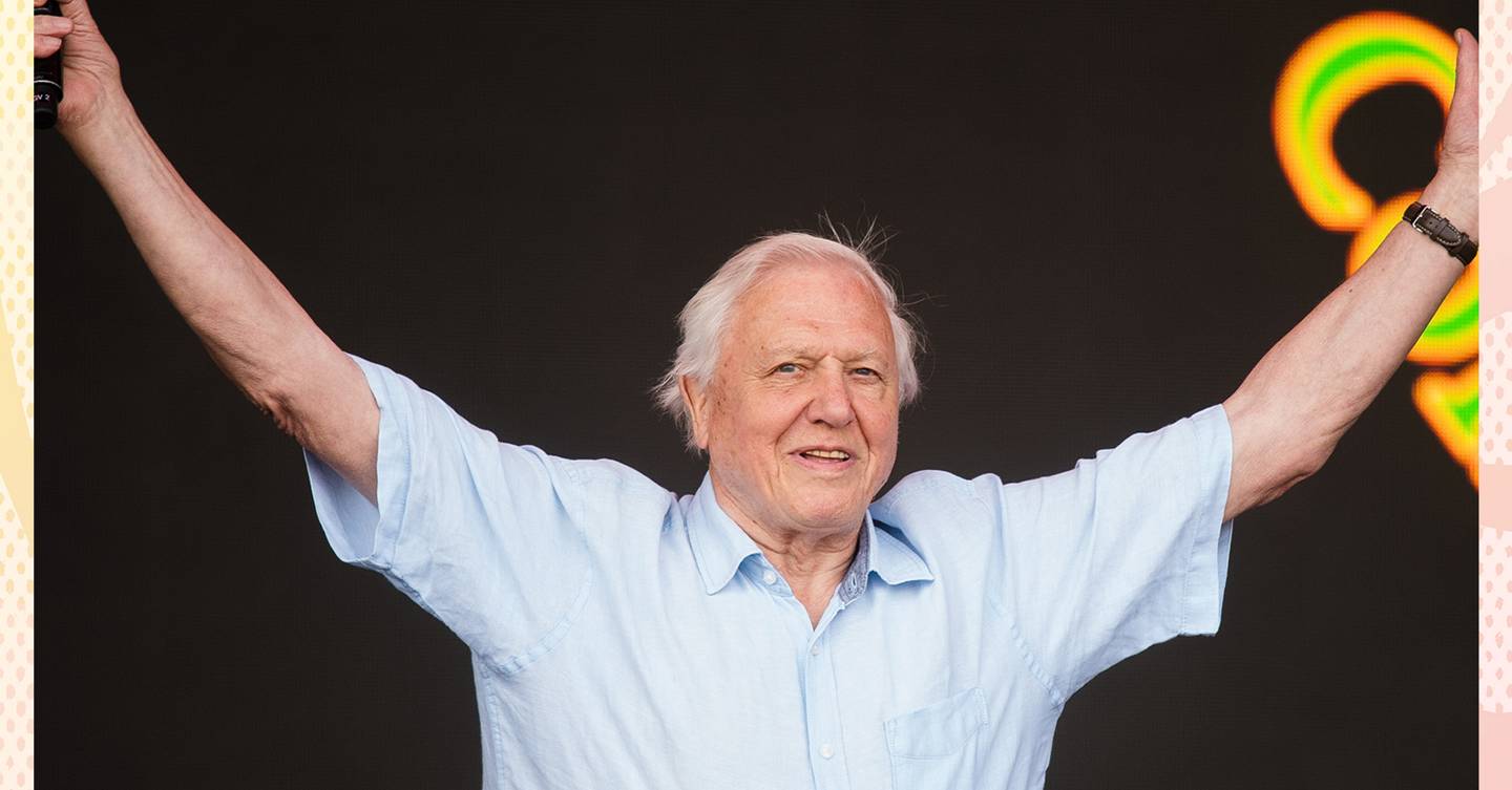 David Attenborough's Seven Worlds One Planet Is The Newest TV Series ...