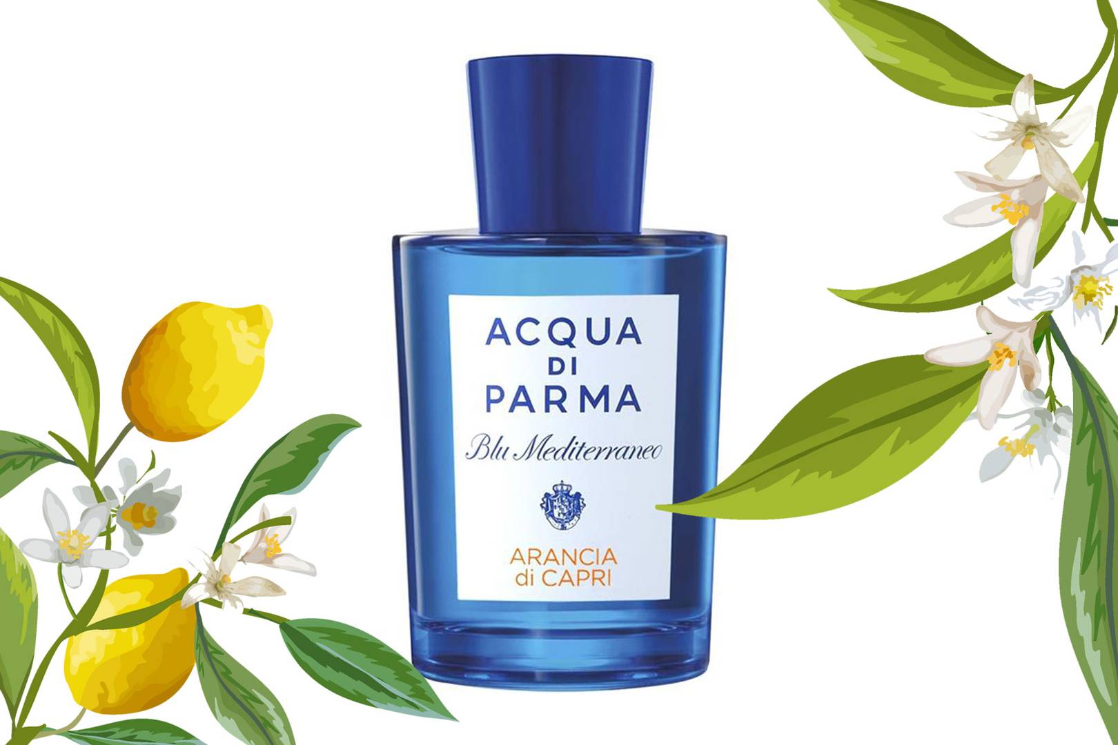 The Best Citrus Perfumes | Glamour UK