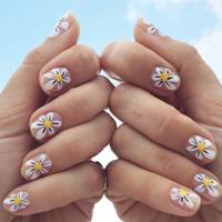 Daisy Designs Daisy Designs