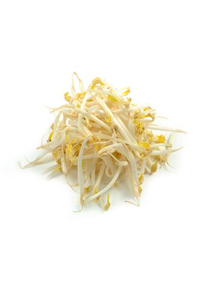 Germes de soja pour retendre la peau