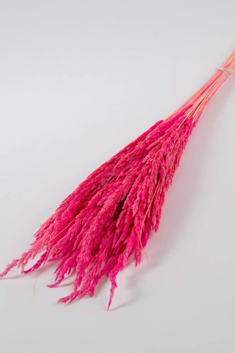 Dried Flowers & 30+ Best Dried Flowers to Shop Glamour UK