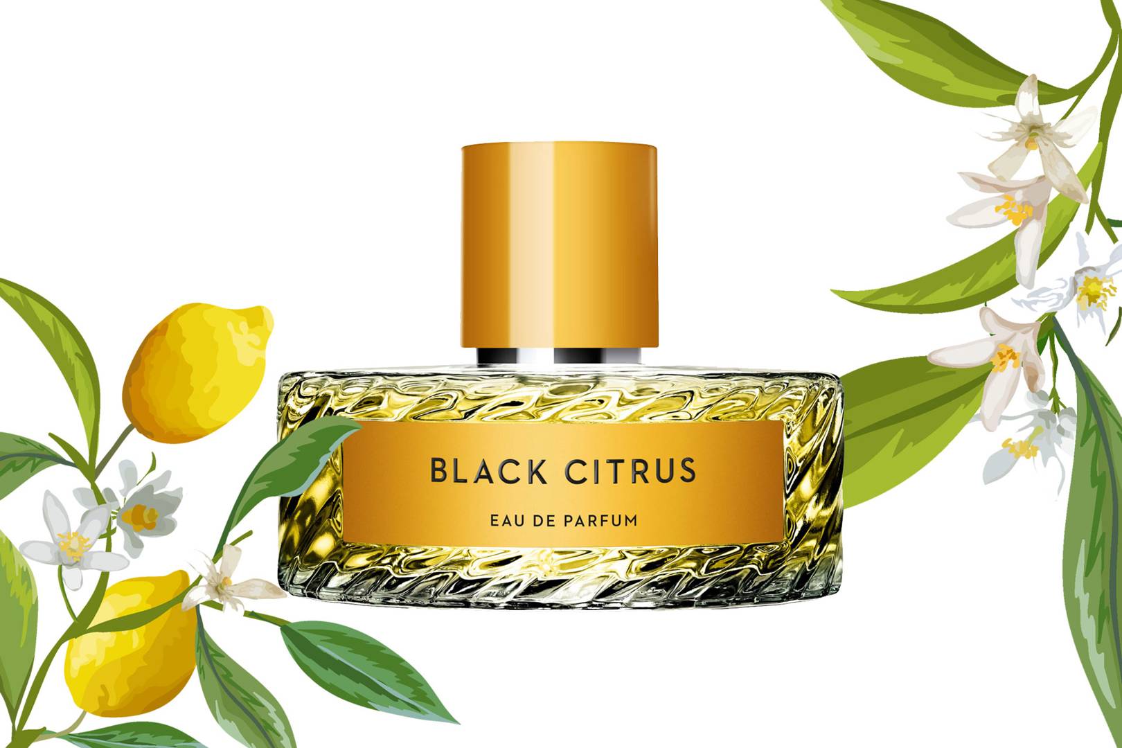 Туалетная вода цитрус. Vilhelm Parfumerie Black Citrus EDP 100 ml. Black Citrus Vilhelm Parfumerie. Black Citrus Парфюм. Блэк цитрус Vilhelm.