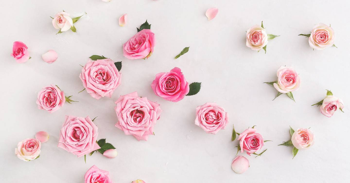 pink roses_glamour_11apr17_istock_l