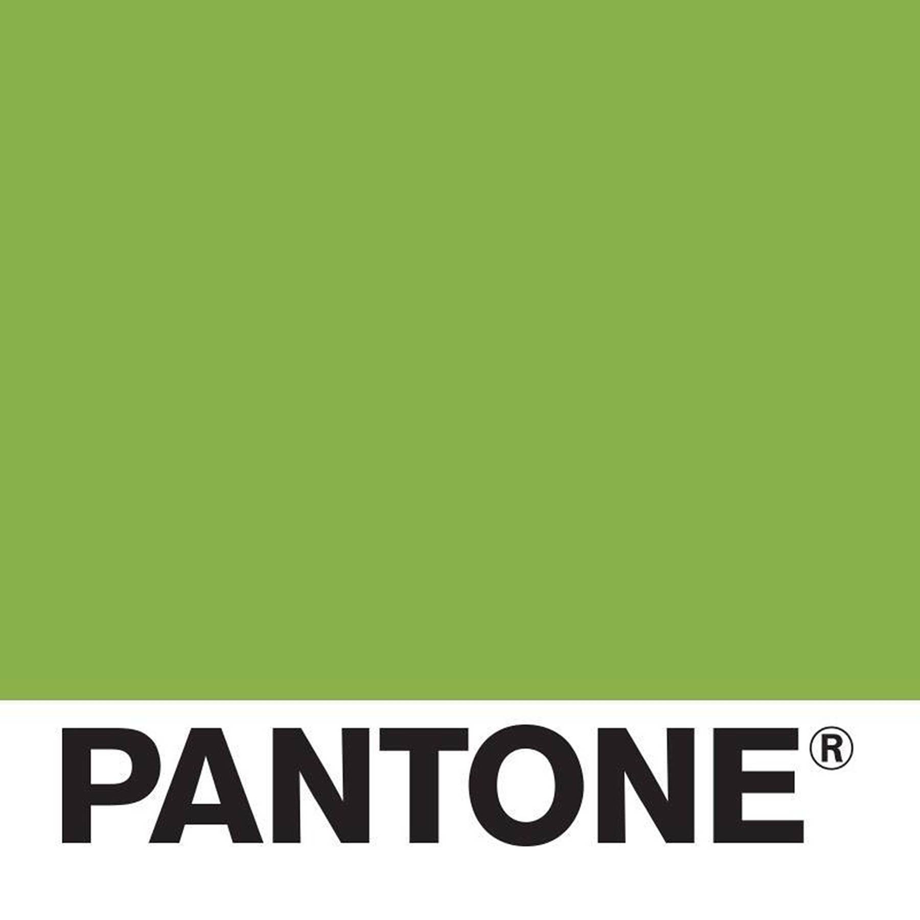 Pantone Colour Of The Year 17 Greenery Glamour Uk