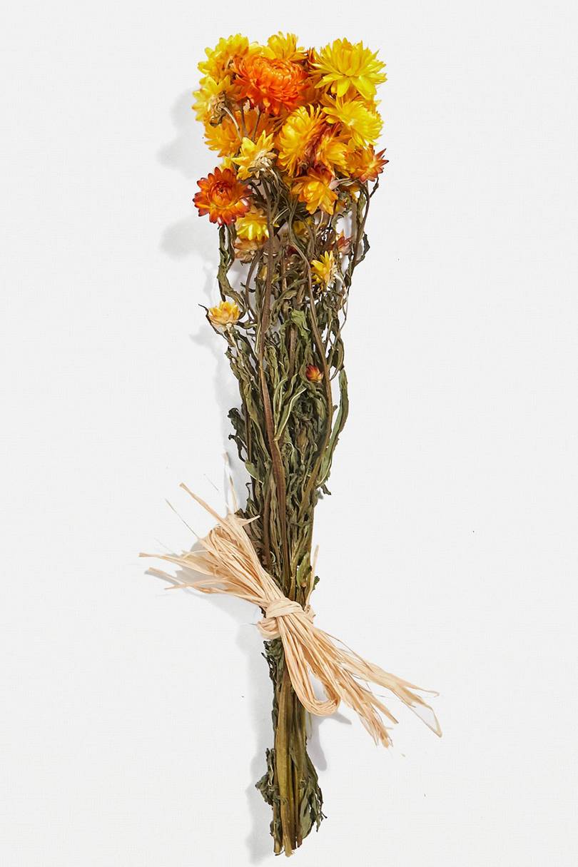 Dried Flowers & 30+ Best Dried Flowers to Shop Glamour UK