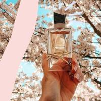 lady gaga perfume valentino
